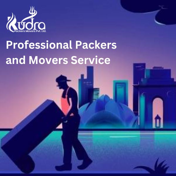 professional packers and movers service.